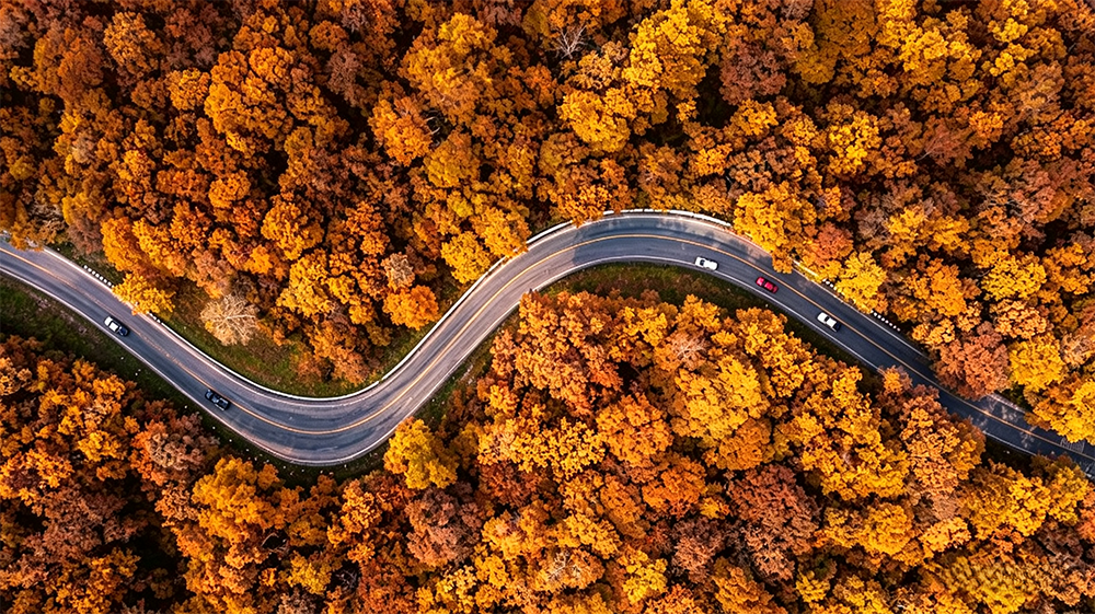 芒格瑞性能背景